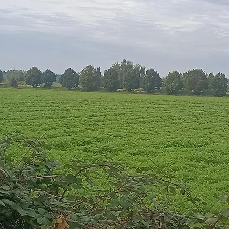 Worfelden Mörfelden-Walldorf